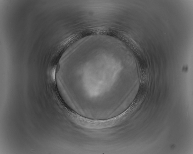 X0000097900047200803281349