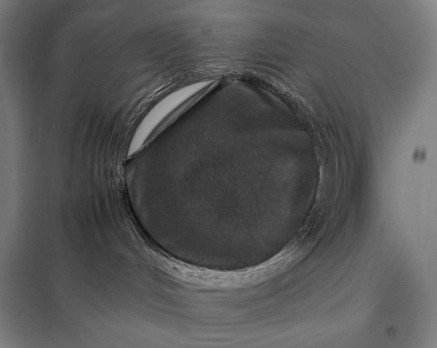 X0000097900048200803281349