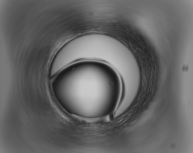 X0000097900049200803281348