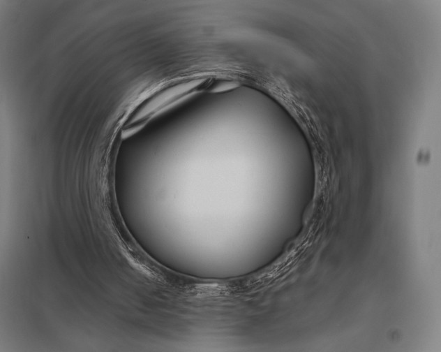 X0000097900050200803281348