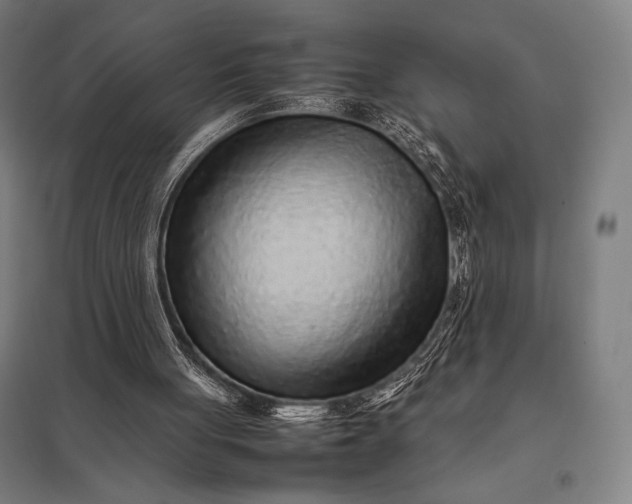 X0000097900051200803281348