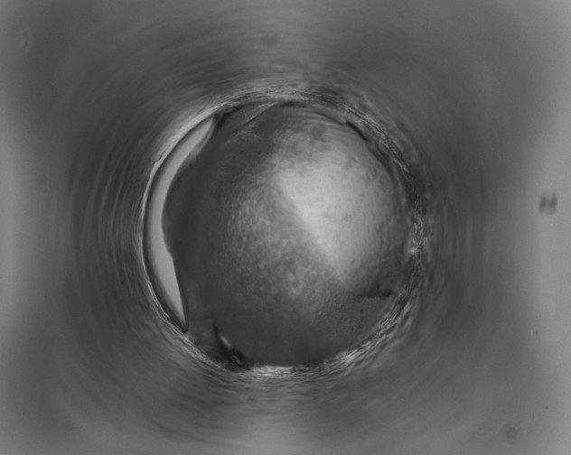 X0000097900052200803281348