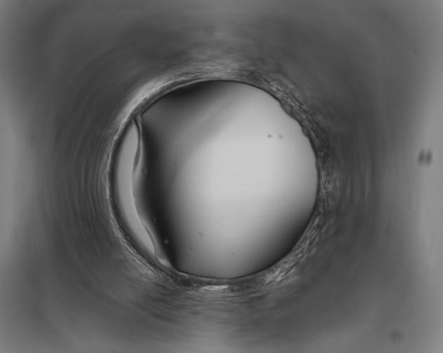 X0000097900054200803281349