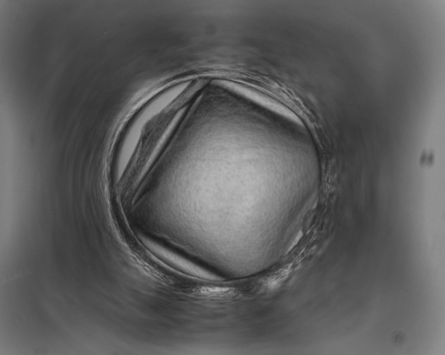 X0000097900055200803281349