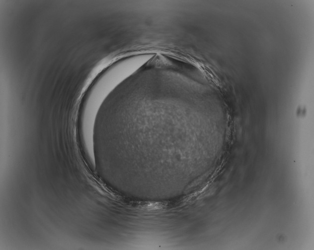 X0000097900056200803281349