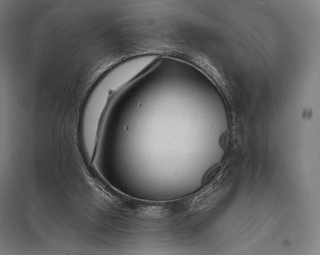 X0000097900058200803281349