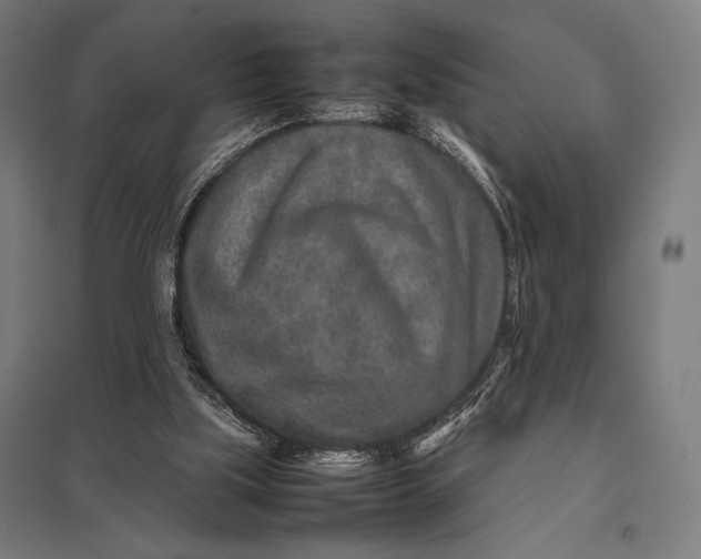 X0000097900059200803281349