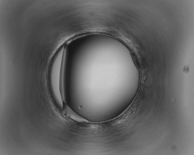 X0000097900060200803281349