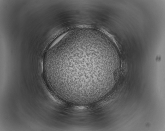 X0000097900061200803281349