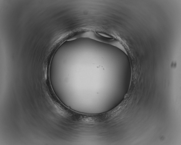 X0000097900062200803281349