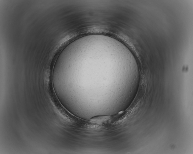 X0000097900063200803281349