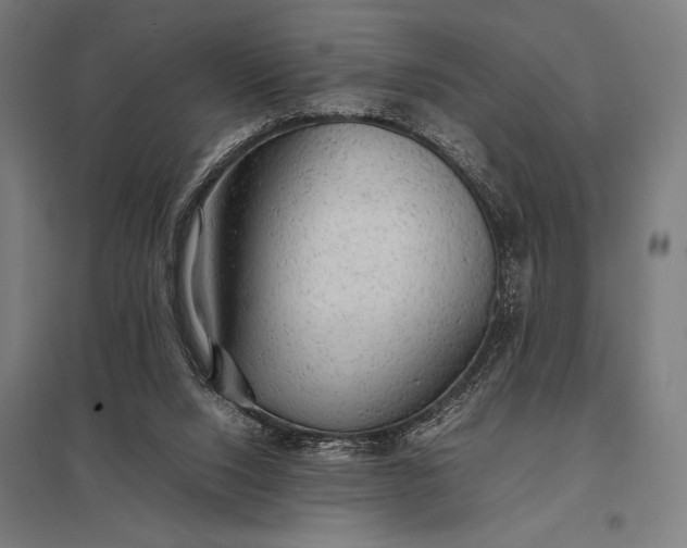 X0000097900064200803281349