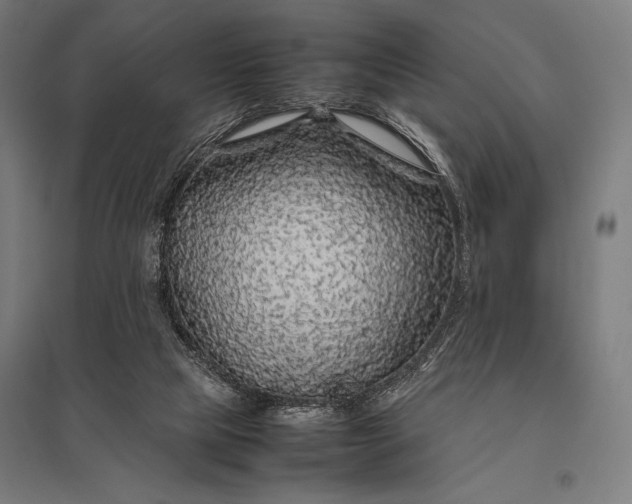 X0000097900065200803281349