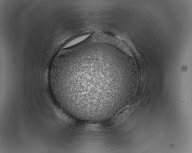 X0000097900066200803281349