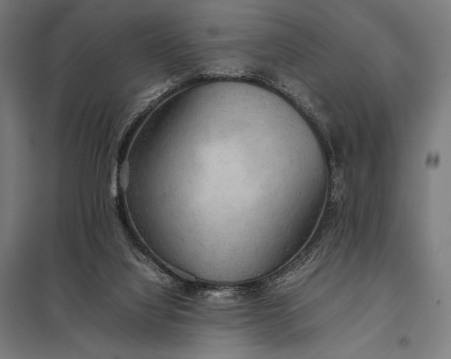 X0000097900068200803281349