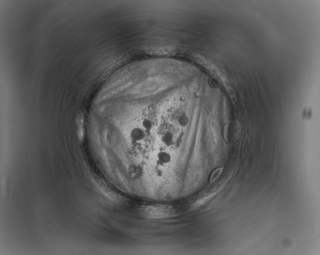 X0000097900069200803281349