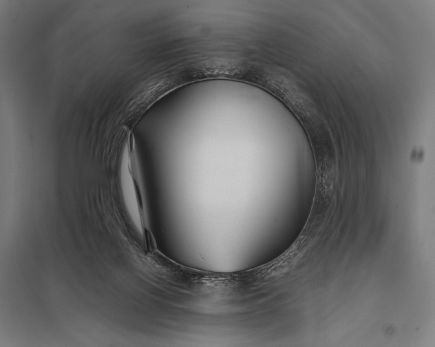 X0000097900070200803281349