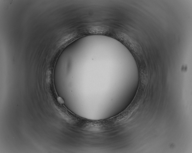 X0000097900071200803281349