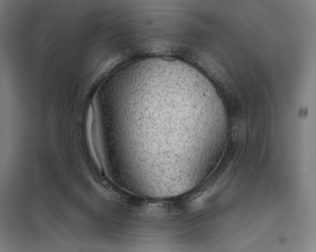 X0000097900072200803281349