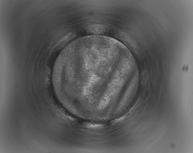 X0000097900073200803281349