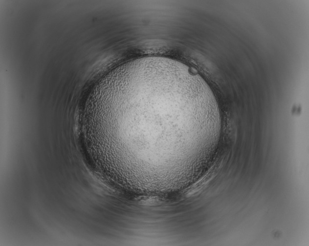 X0000097900074200803281349