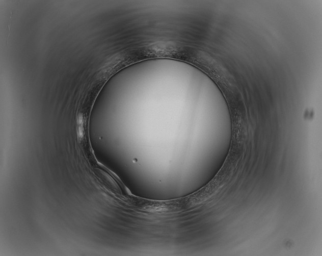 X0000097900075200803281349