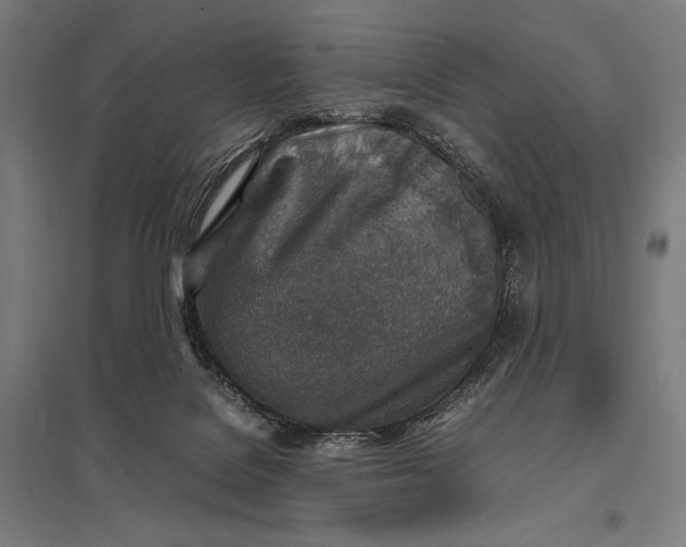 X0000097900076200803281349