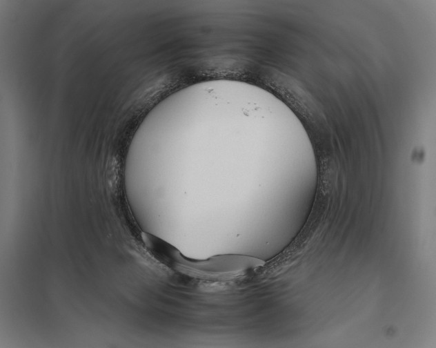 X0000097900077200803281349