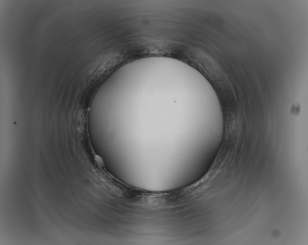 X0000097900078200803281349