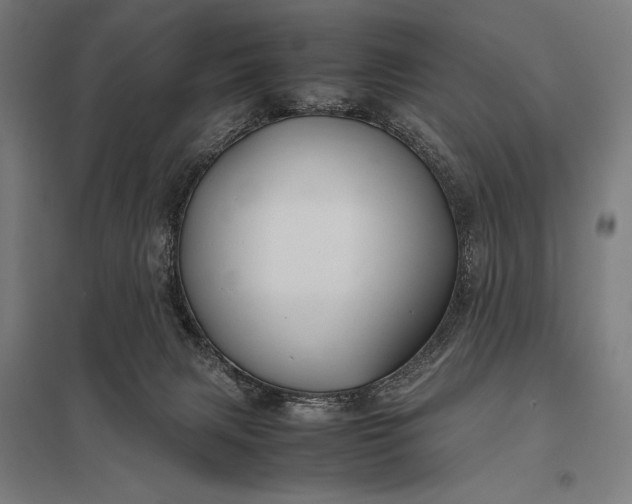 X0000097900079200803281349