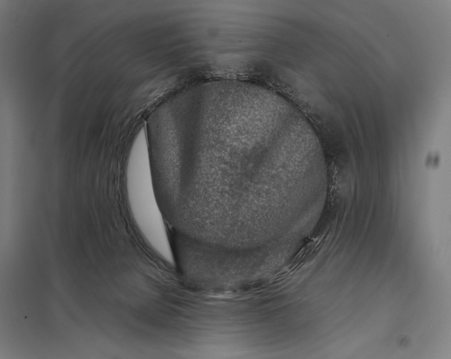 X0000097900080200803281349