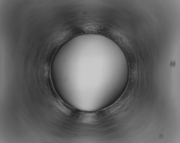 X0000097900081200803281349