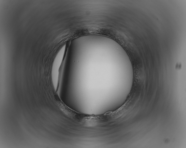 X0000097900082200803281349