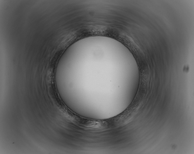 X0000097900083200803281349