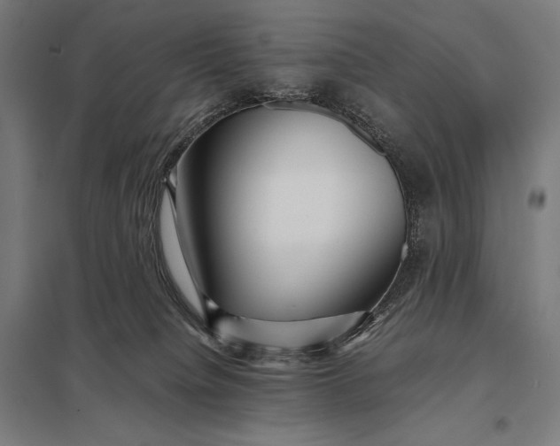 X0000097900084200803281349