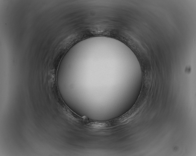 X0000097900085200803281349