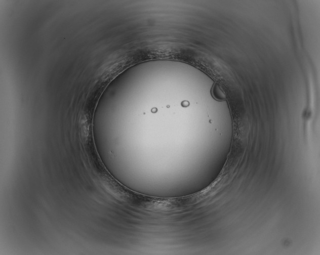 X0000097900086200803281349