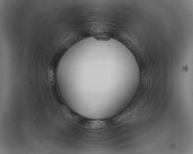 X0000097900087200803281349