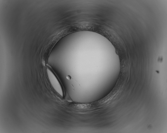 X0000097900089200803281349