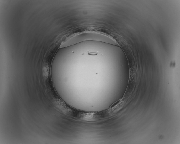 X0000097900090200803281349