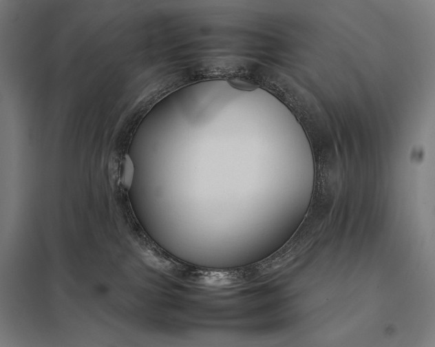 X0000097900091200803281349