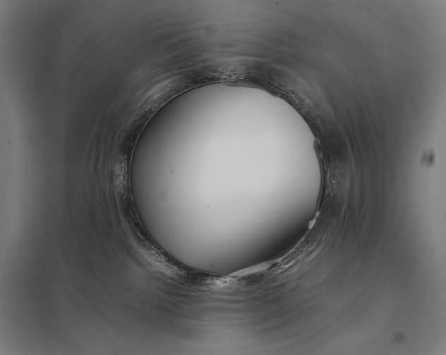 X0000097900092200803281349