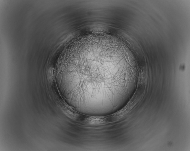 X0000097900093200803281349