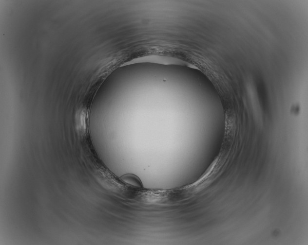 X0000097900094200803281349