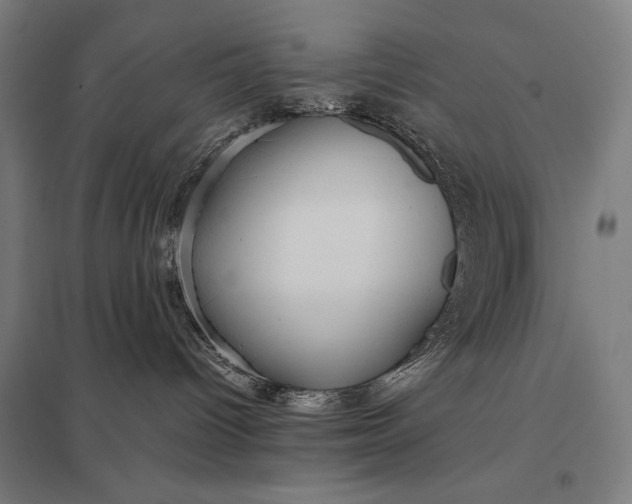 X0000097900096200803281349