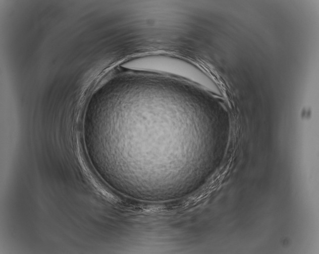 X0000097900097200803281348