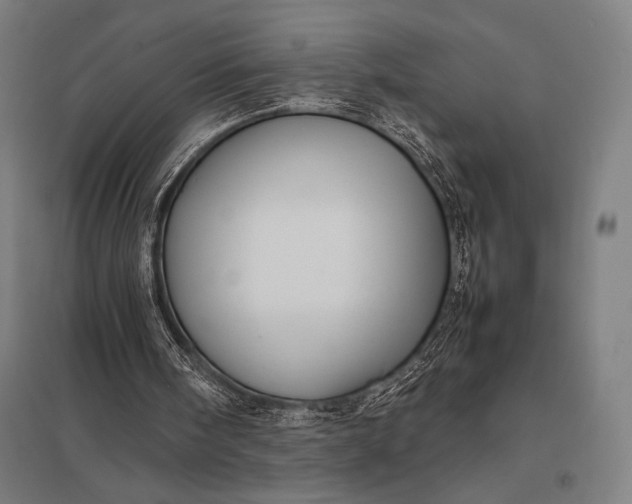 X0000097900098200803281348