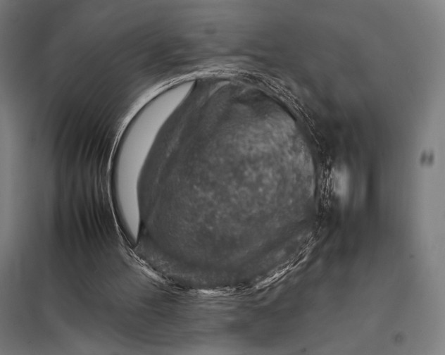 X0000097900100200803281348