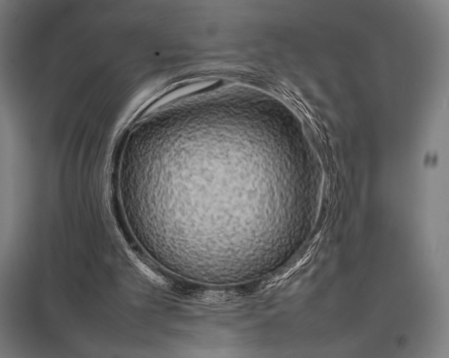 X0000097900101200803281348