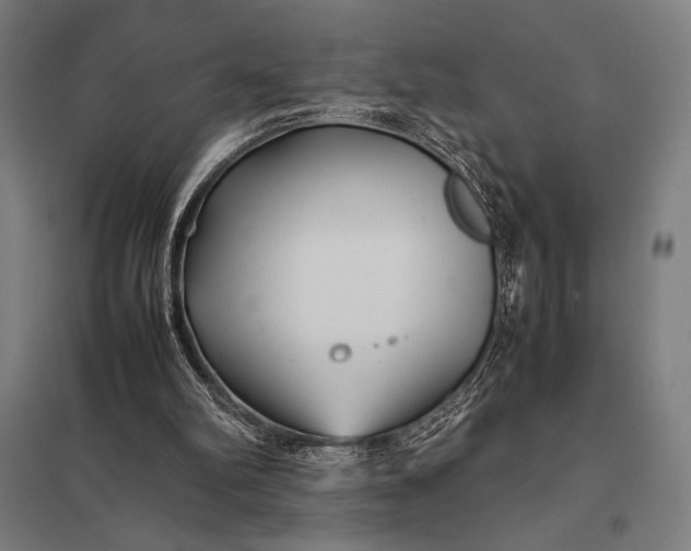 X0000097900102200803281348